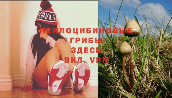 марки nbome Алексеевка