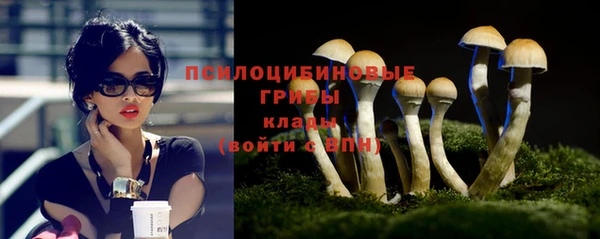 метадон Аркадак
