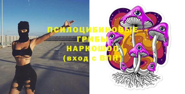 индика Армянск