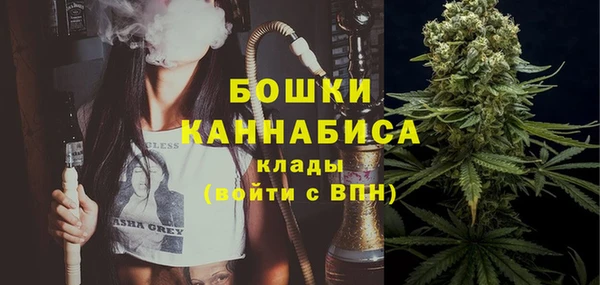 сатива Заволжье